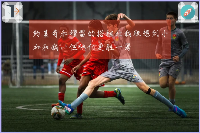 约基奇和穆雷的搭档让我联想到小加和我，但他们更胜一筹