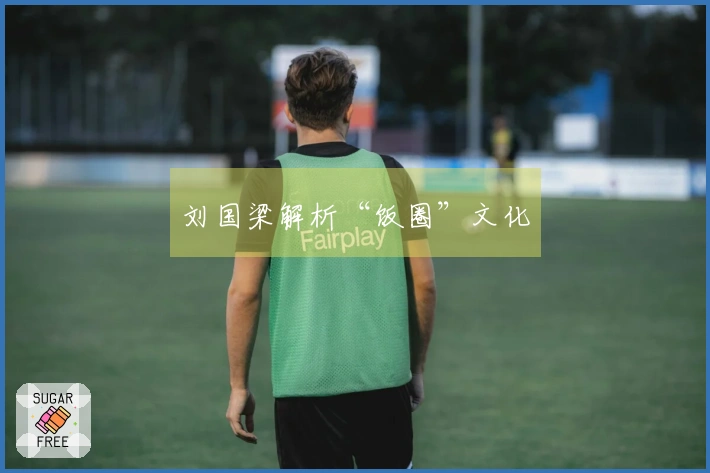 刘国梁解析“饭圈”文化